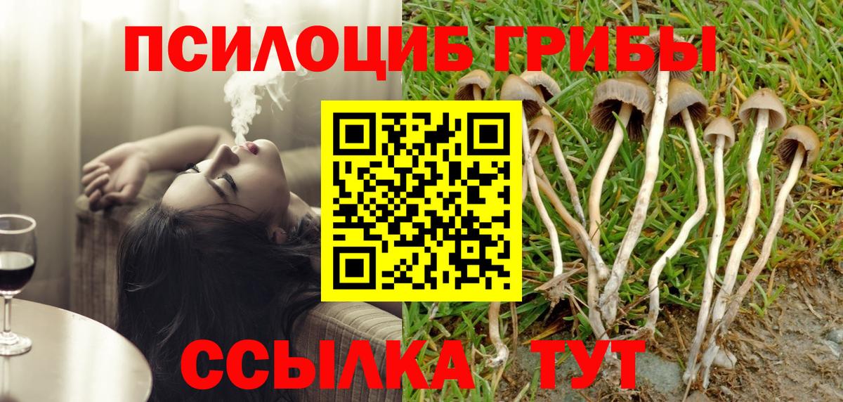 Воркута  купить   Вход с VPN  Галлюциногенные грибы Magic Shrooms 